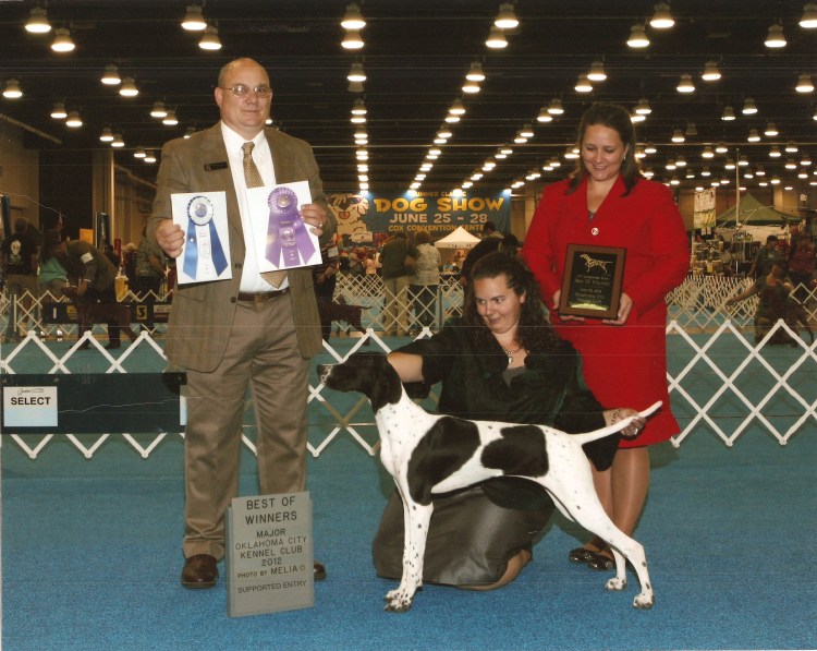 Putting Together The Pieces Of The Puzzle