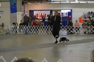 Widget Denver Day 2 004