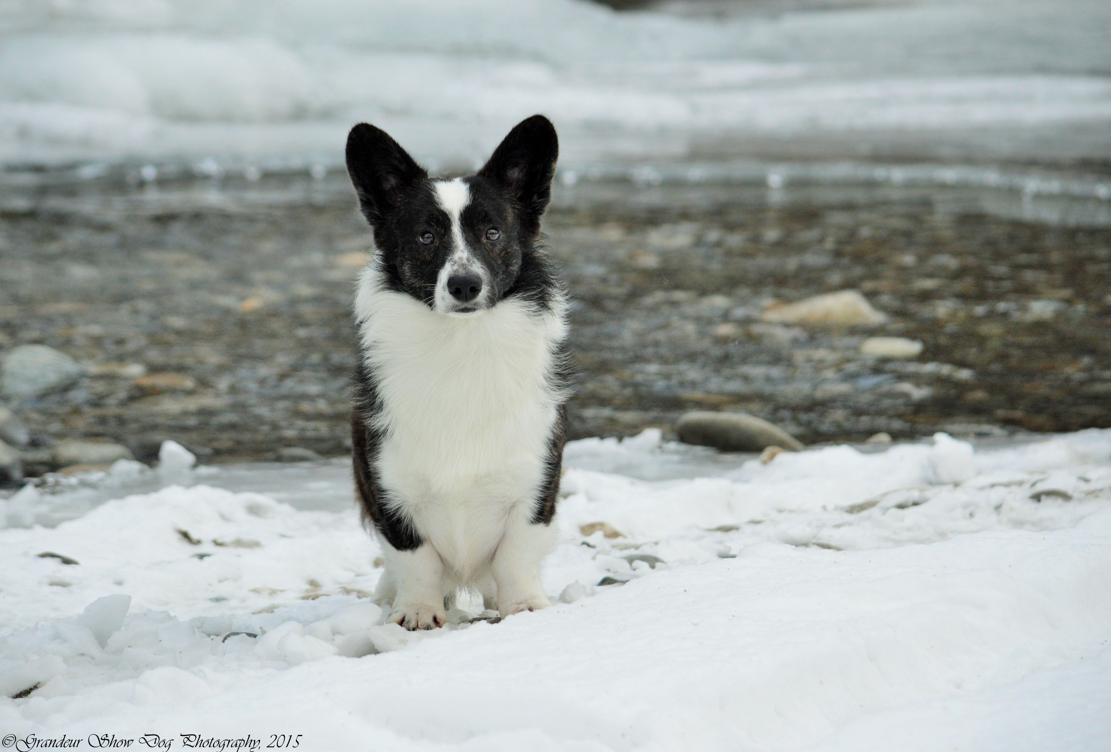 Gable River Shoot (2)
