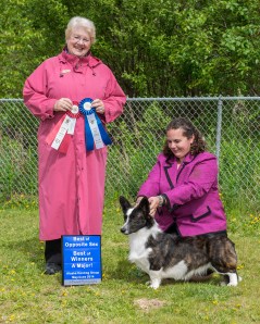 Gable BOW BOS Major May 2014