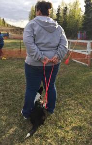 11201163_877040415695793_3747522966275584279_n