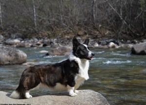 Gable HP Shoot (17) 2