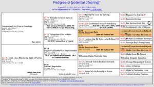 Sunshine Litter Pedigree