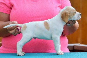 Mr Purple 5 weeks (2)