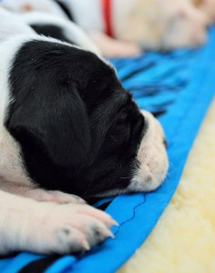 Sunshine Litter Week 2 (2)