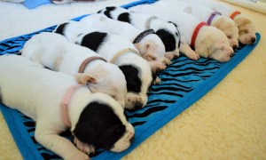 Sunshine Litter Week 2 (3)