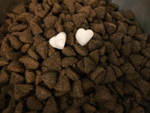 coconut oil in kibble