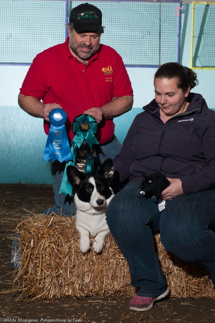 64721986-20160228-_D706014