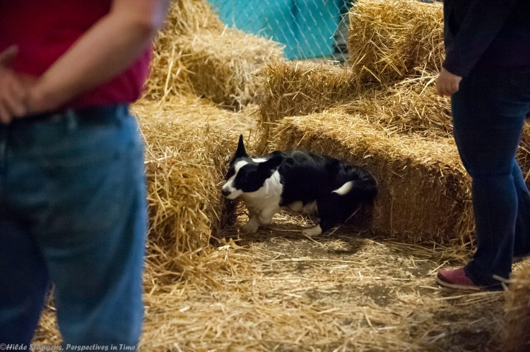 64725129-20160228-_DSC7686