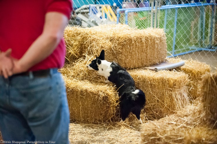 64725130-20160228-_DSC7689